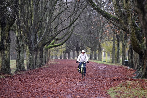 Regen hier, Graupel dort - und auch Schnee könnte es in den kommenden Tagen geben. - © Roberto Pfeil/dpa