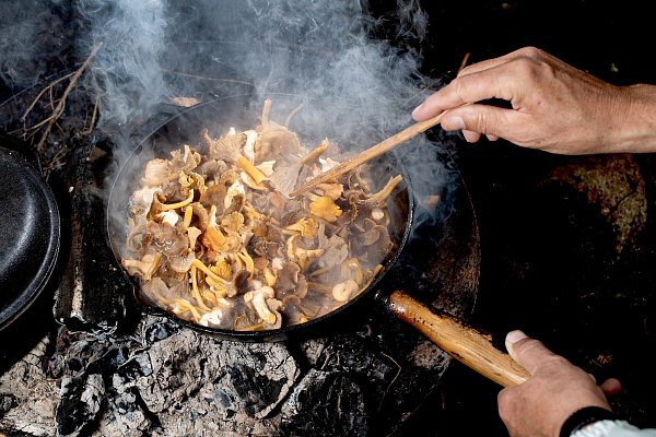 Pilze sollten innerhalb von 24 Stunden gegessen werden. Kommt man nicht dazu, ist Trocknen oder Einfrieren eine Methode, um sie haltbar zu machen. - © Zacharie Scheurer/dpa-tmn