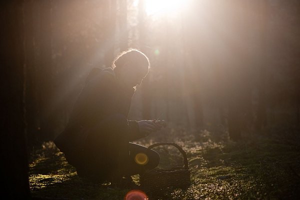 Vor allem in Buchen- und Fichtenwälder mit lichten Stellen kann man fündig werden. Im dichten Dickicht wachsen kaum Pilze. - © Klaus-Dietmar Gabbert/dpa-tmn