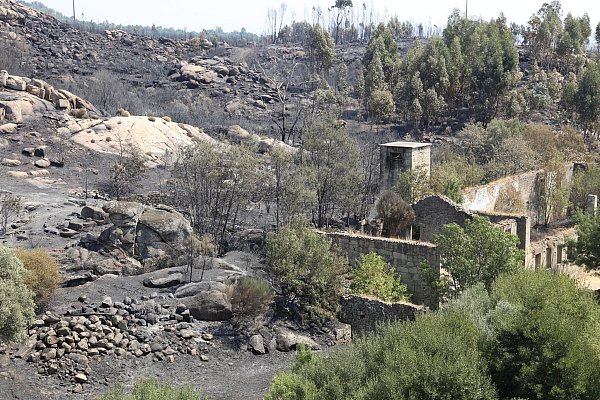 Die Zahl der Todesopfer der verheerenden Waldbrände ist in Portugal gestiegen. Historische Dörfer mussten evakuiert werden. - © Xun Wei/XinHua/dpa