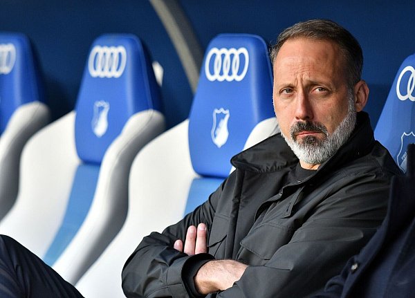 Wackelt: Hoffenheims Trainer Pellegrino Matarazzo - © Jan-Philipp Strobel/dpa