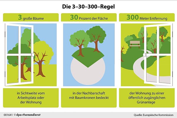 Die 3-30-300-Regel wurde von Cecil Konijnendijk, einem Urban-Greening-Experten, für gesündere Städte entwickelt. Dass die Nähe von Bäumen und Grün auch unser seelisches Wohlbefinden stärken kann, haben mehrere Studien erwiesen. - © dpa-infografik/dpa-tmn