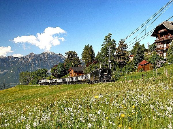 Ob im Golden-Pass-Panoramic-Zug oder im klassischen Stil der Gründerjahre – die Strecke Zweisimmen–Montreux ist eine Bahnfahrt wert.