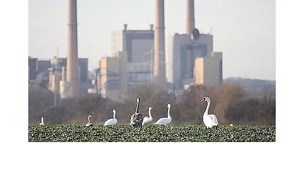 Kraftwerk Veltheim schließt schon im Jahr 2015 - © Porta Westfalica