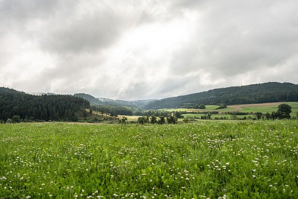 Zur Wochenmitte hat das verregnete Wetter voraussichtlich ein Ende. - © Silas Stein/dpa
