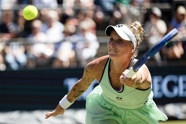 Marketa Vondrousova fühlt sich wohl auf Rasen. - © Hannes Albert/dpa