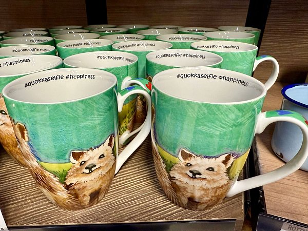 Überall gibt es Souvenirs mit Quokka-Motiv zu kaufen. - © Carola Frentzen/dpa