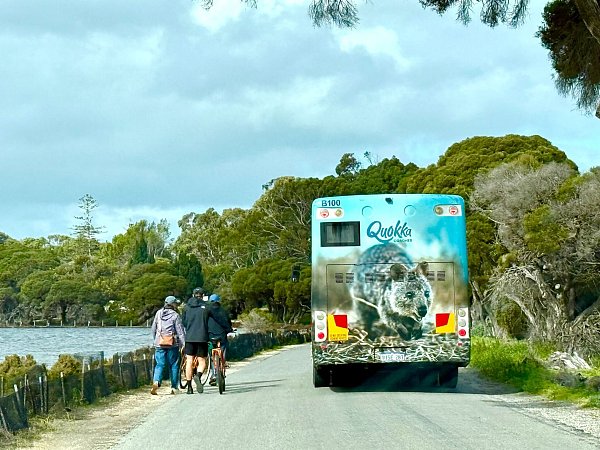 Die meisten Touristen auf Rottnest Island fahren Fahrrad - oder mit dem Quokka-Bus. - © Carola Frentzen/dpa