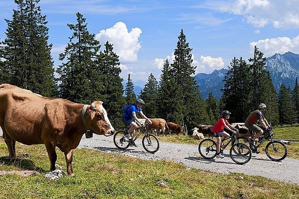 Die Radler unterwegs in Vorarlberg, mal ganz gemütlich, mal auch rasant sportlich. - © FOTO: VORARLBERG TOURISMUS
