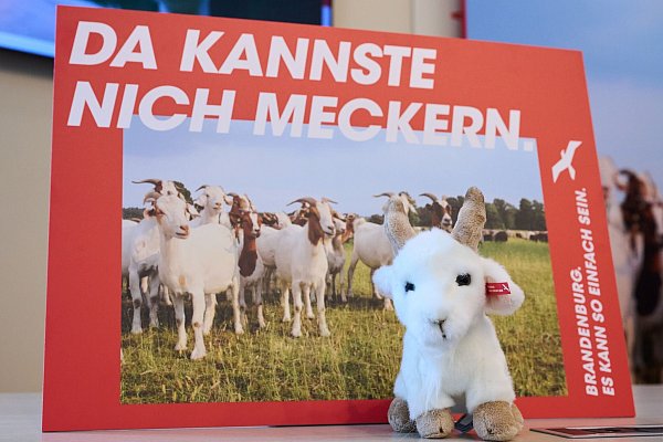 Brandenburg wirbt mit einer neuen Kampagne für Zuzüge aus Westdeutschland. (Archivbild) - © Annette Riedl/dpa