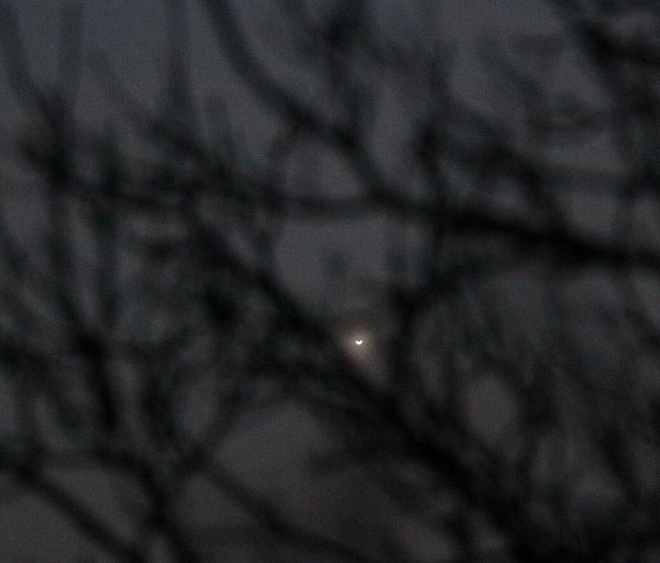 Mit einem 300mm-Zoomobjektiv sieht die Venus derzeit so aus. - © Uwe Pilz/-/dpa
