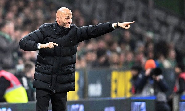 Dirigierte leidenschaftlich seine Mannschaft: Wolfsburgs Trainer Paul Simonis. - © Carmen Jaspersen/dpa