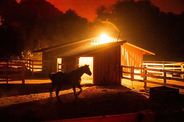 Das Mountain Fire greift um sich. - © Noah Berger/AP/dpa