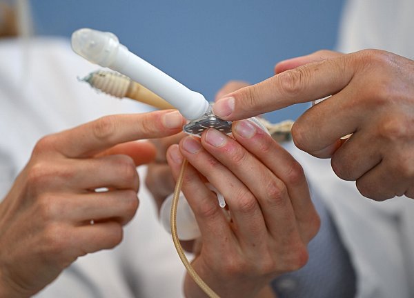 In den Neo-Penis muss eine Prothese eingesetzt werden. - © Arne Dedert/dpa