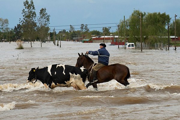 Die Provinz Buenos Aires ist eine bedeutende landwirtschaftliche Region. - © Rodrigo Abd/AP/dpa