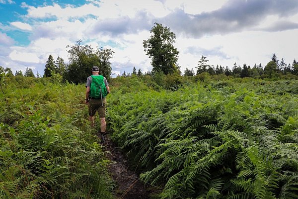 Das Hohe Venn ist ein Wanderparadies, aber auch Radwege gibt es. - © Deike Uhtenwoldt/dpa-tmn