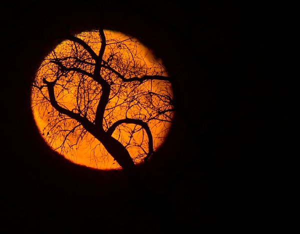 Nach dem kommenden Supermond findet der nächste in einem Jahr statt. (Archivbild) - © Patrick Pleul/dpa