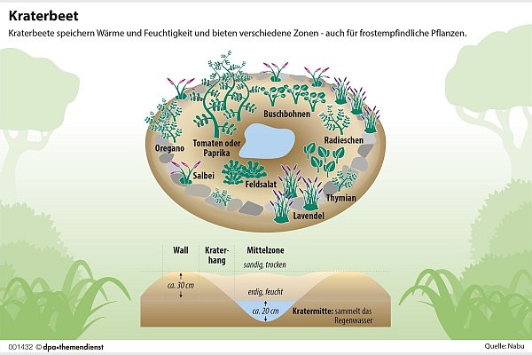 Ein Kraterbeet mindert Wetterextreme - etwa lange Trockenperioden im Sommer und viel Regen im Winter. - © dpa-infografik GmbH/dpa-tmn
