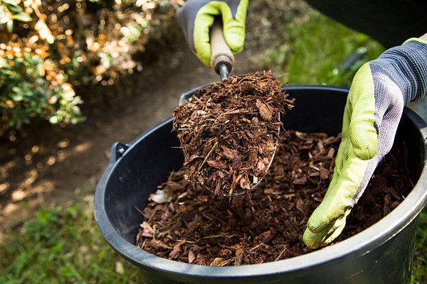 Organische Produkte wie Rindenmulch kommen am besten im Frühling nach dem Rückschnitt und vor dem Neuaustrieb der Stauden ins Beet. - © Christin Klose/dpa-tmn