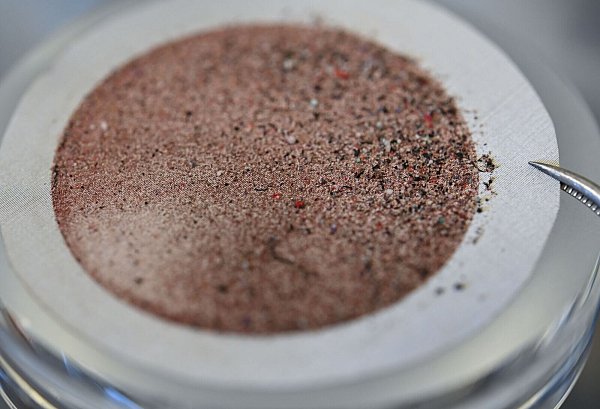 Mikroplastikpartikel haben sich nach Filtration auf einer Edelstahlmembran abgesetzt. (Symbolbild) - © Arne Dedert/dpa