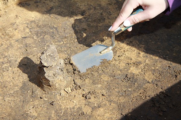 Sorgfalt: Bei Funden wie diesen, hier Reste eines 7.000 Jahre alten Gebisses, muss vorsichtig gearbeitet werden. - © Hermann Ludwig