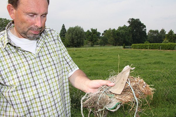 Aufgeräumt: Michael Jöbges hat Plastikmaterial aus einem Nest entfernt. Die Tiere können sich beispielsweise in Bindegarn verheddern, das im Horst zur tödlichen Gefahr werden kann. - © Bernd Schünemann