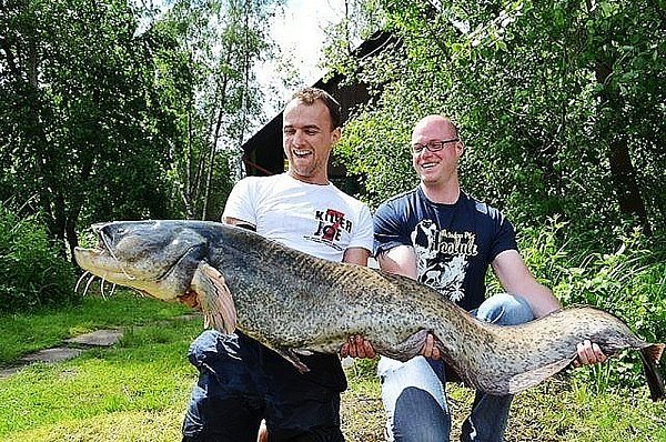 Christian Rose (r.) und sein Angelfreund Robert haben diesen riesigen Wels aus dem Hücker Moor gefischt. - © Foto: Privat