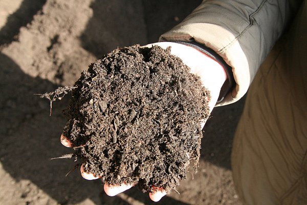 Feines Material: Bei Kompotec in Belke-Steinbeck werden Garten- und Bioabfälle zu Kompost verarbeitet. FotoS (2): Karin Wessler - © Karin Wessler