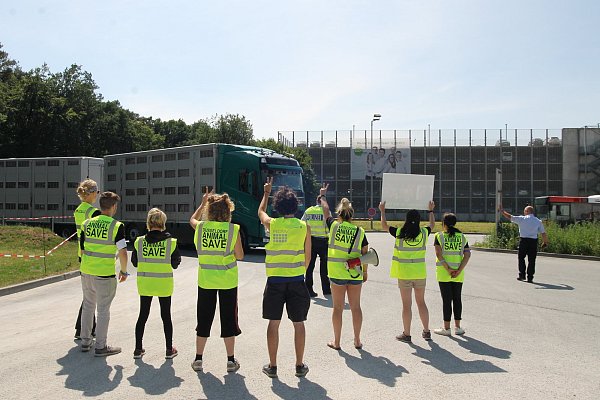 Anhalteversuch: Demonstranten wollen mit Hilfe der Polizei einen Schweinetransporter stoppen – allerdings vergeblich. - © Oliver Herold