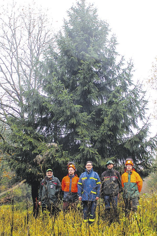 Fünf Männer und ein Baum: (v. l.) Wilhelm Brandenburg, Sascha Schenk, Sascha Meyer, Roland Schockemöhle und und Tim Siekmann, kurz bevor sie die Fichte für Berlin fällen. - © Nicole Hille-Priebe