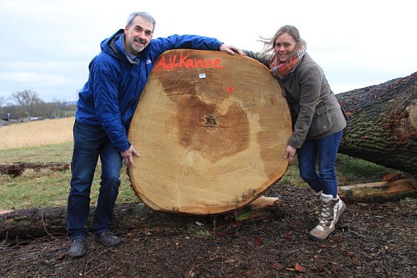 Auf dem Holzlagerplatz: Josef Fuhrmann und Ann-Catherine von Kanne mit dem großen Eichenstamm. - © Madita Schellenberg