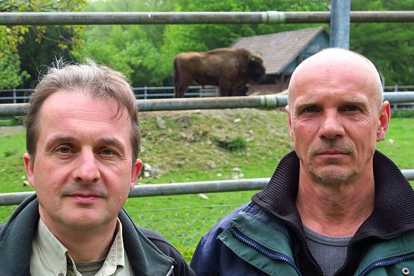 Traurig: Herbert Linnemann und Markus Hinker bedauern den Abschuss von Wisent Holle. - © Kurt Ehmke