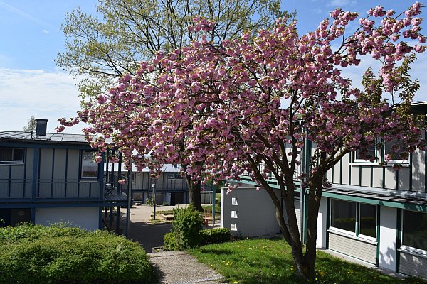 Jede Kinderdorffamilie hat ein Haus für sich. - © Leandra Kubiak