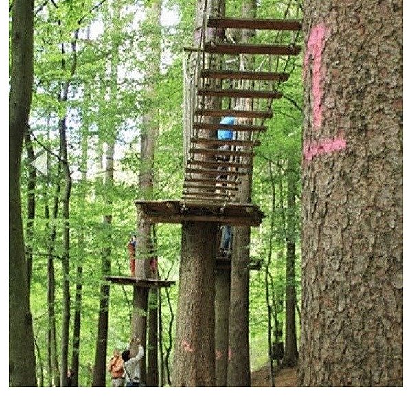 So sah es im Kletterpark noch vor einem Jahr aus. - © Christian Krois