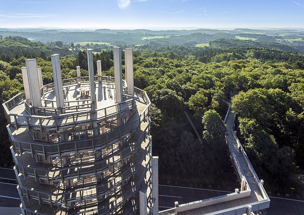 Hoch hinaus in die Baumkronen – der Baumwipfelpfad Panarbora bietet spektakuläre Ausblicke und Naturerlebnis pur. - © Deutsches Jugendherbergswerk - L