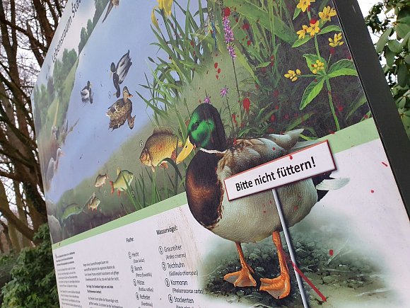 Das Hinweisschild am Ibrüggers Teich im Stadtpark findet bei den Besuchern kaum Beachtung. - © Irja Most