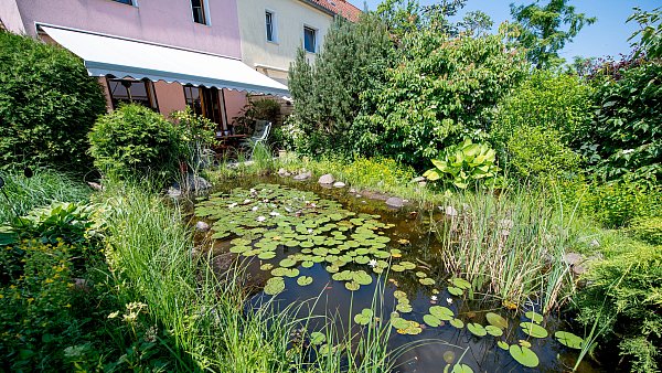 Wer die Möglichkeit hat, einen Teich anzulegen, verbessert damit das Gartenklima und sorgt an heißen Sommertagen Tagen für Abkühlung. - © dpa-tmn