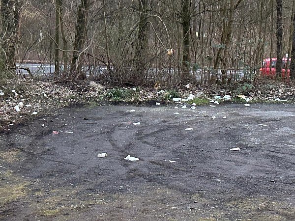 Kein schöner Land in dieser Zeit: Müll liegt verstreut am Wanderparkplatz Grewenbrink. - © Privat