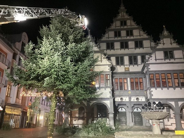 Die Paderborner Feuerwehr zersägt den beschädigten Weihnachtsbaum. - © Feuerwehr Paderborn