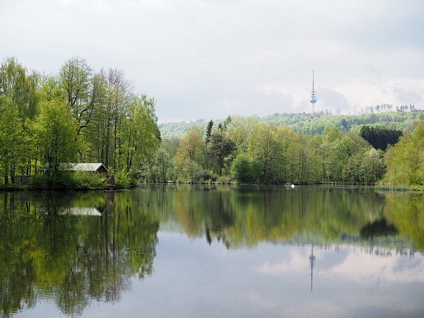Vom Bahnhof Willebadessen lohnt ein Spaziergang durch den Aktiv-Park im Eggegebirge bis zum Wildgehege und um die beiden Teiche. - © Nicole Fischer