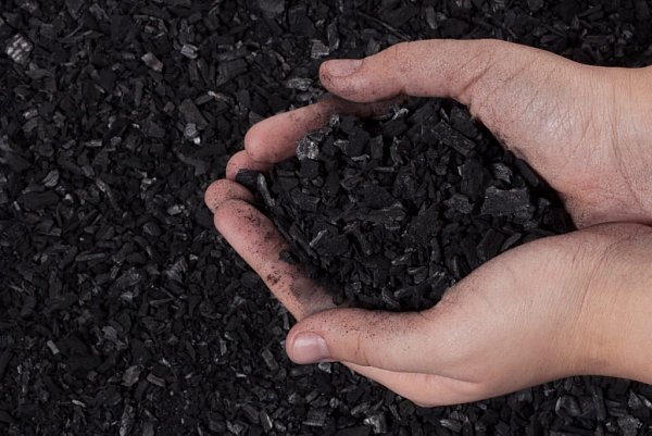 Pflanzenkohle: Dieses Produkt entsteht bei der Vergasung von Holz und wird vor allem als Düngemittel verwendet. - © Sarah Brechtken