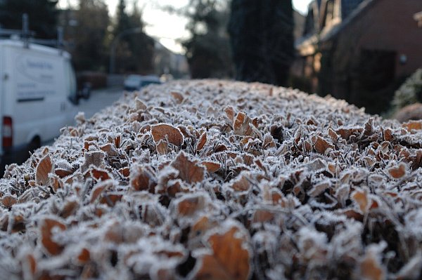 Im Mai sind die Eisheiligen. Das Wetterphänomen bringt häufig einen Kälteeinbruch im Frühjahr. - © Symbolbild/Pixabay