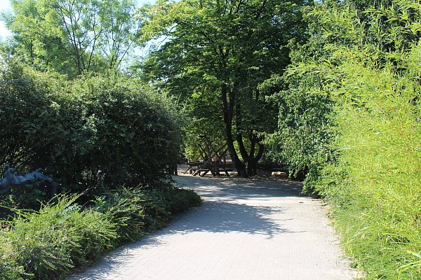 Menschenleer: Auf den Wegen im Zoo sind momentan keine Besucher unterwegs. - © PR