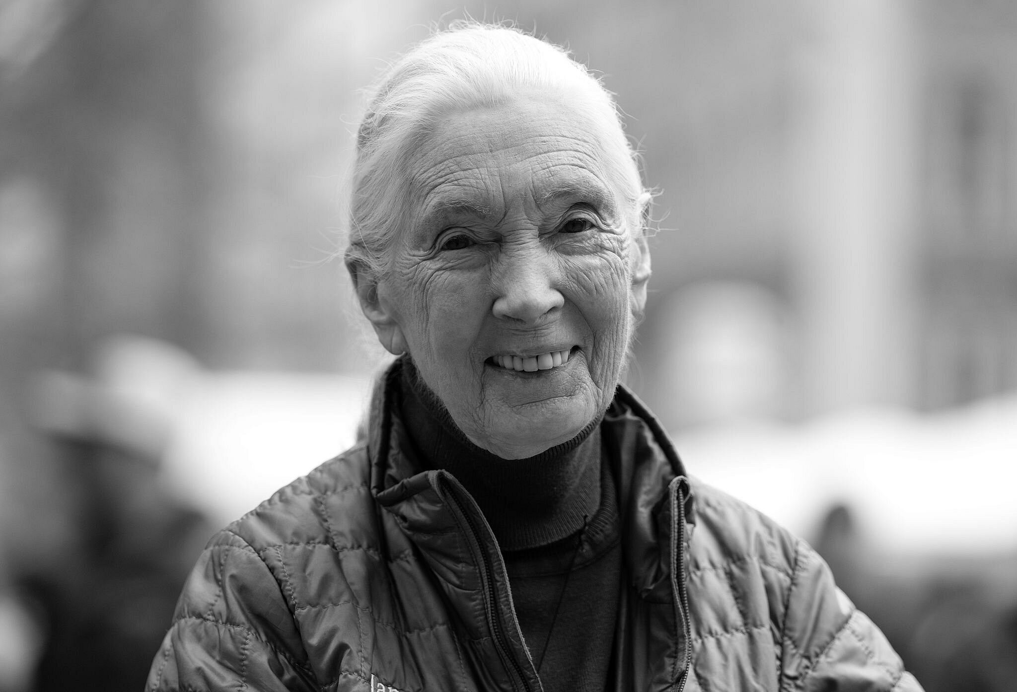 Britische Primaten-Forscherin Jane Goodall ist tot