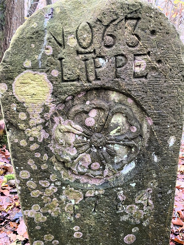 Der alte Grenzstein mitten im Wald existiert noch heute. Die eine Seite zeigt die lippische Rose, die andere Seite die Abkürzung KPGR (Königreich Preußen Grafschaft Ravensberg). - © Horst Biere