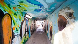 Paderborn: Die Stadt und ihre Graffitis