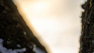 Bünde: Die schönsten Winterfotos aus dem Bünder Land