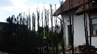 Schloß Holte-Stukenbrock: Feuerwehreinsatz am Meisenweg
