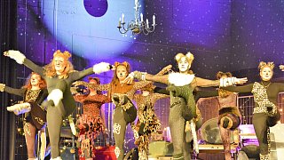 TSV-Jazztanz, Musical Dancing Cats