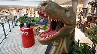 Paderborn: Diese Dinosaurier sind in der Stadt zu sehen